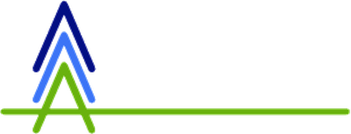 Avant FZ LLC official logo